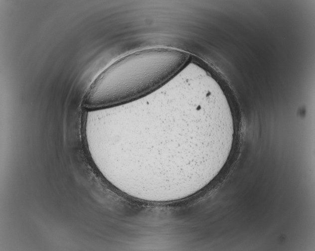 X0000115640877200912221308