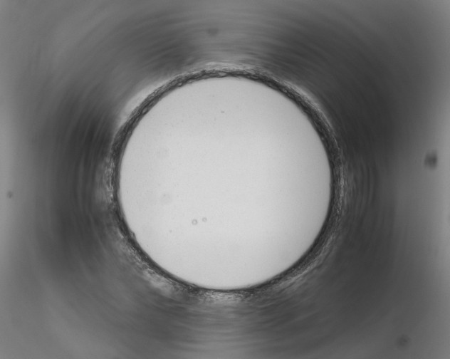 X0000115640878200912221308