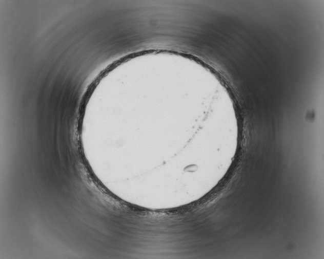 X0000115640880200912221308