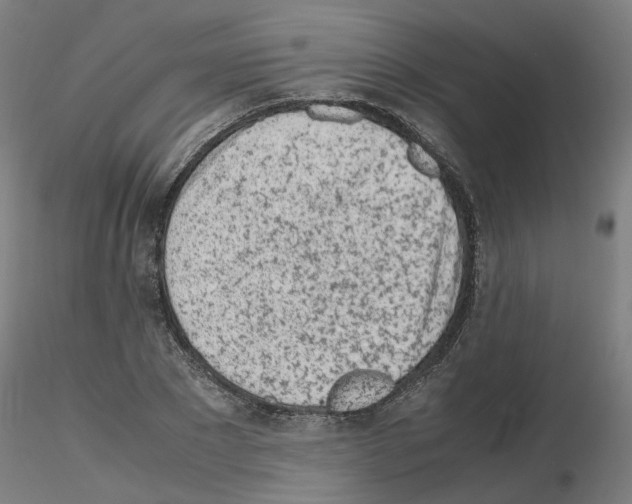 X0000115640881200912221308