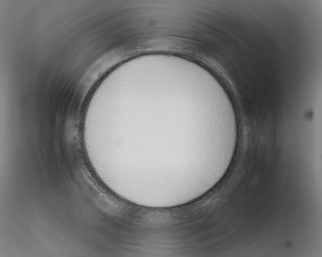 X0000115640882200912221308