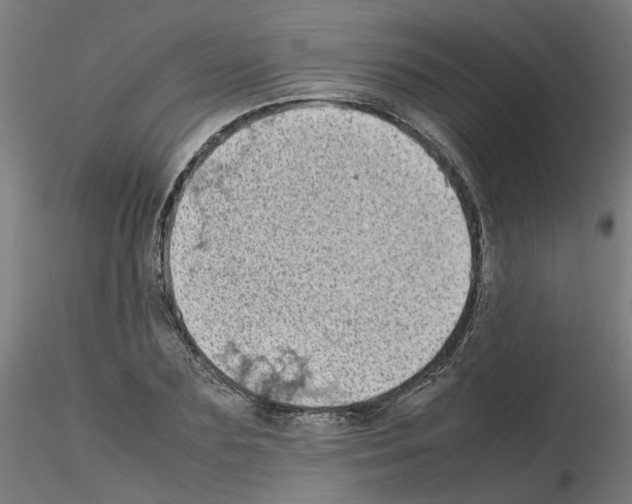 X0000115640883200912221308