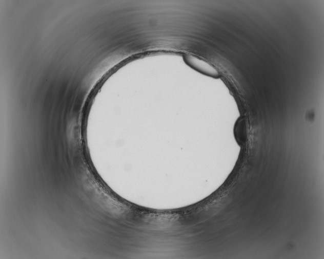 X0000115640884200912221308