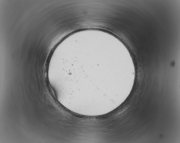 X0000115640885200912221308