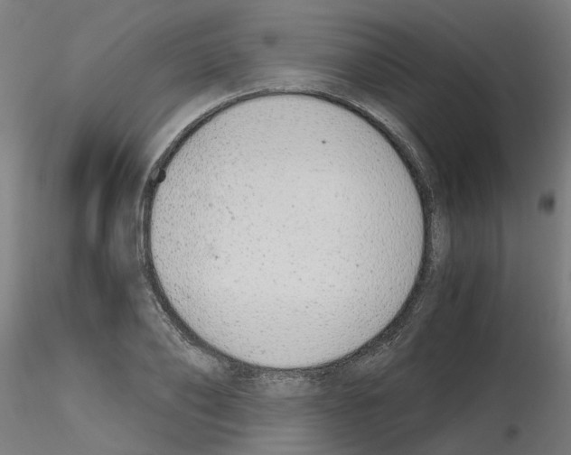X0000115640886200912221308