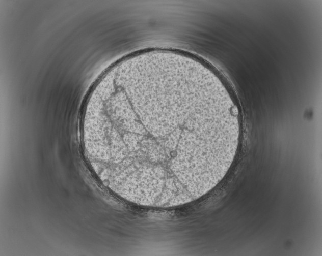 X0000115640887200912221308