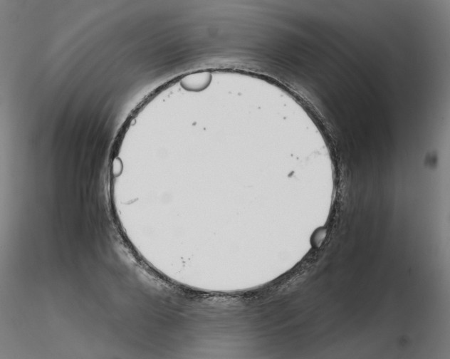 X0000115640888200912221308
