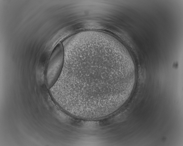 X0000115640889200912221308