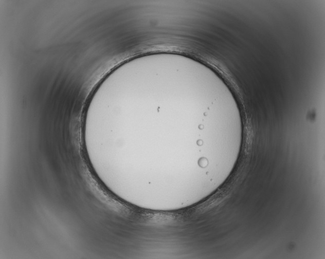 X0000115640890200912221308