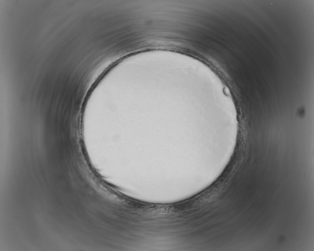 X0000115640891200912221308