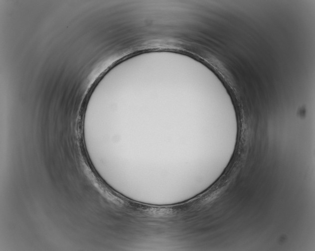 X0000115640893200912221308