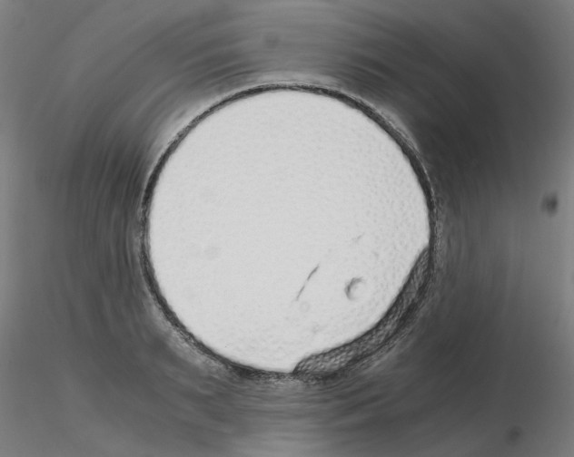 X0000115640895200912221308