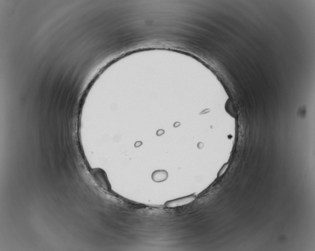 X0000115640896200912221307