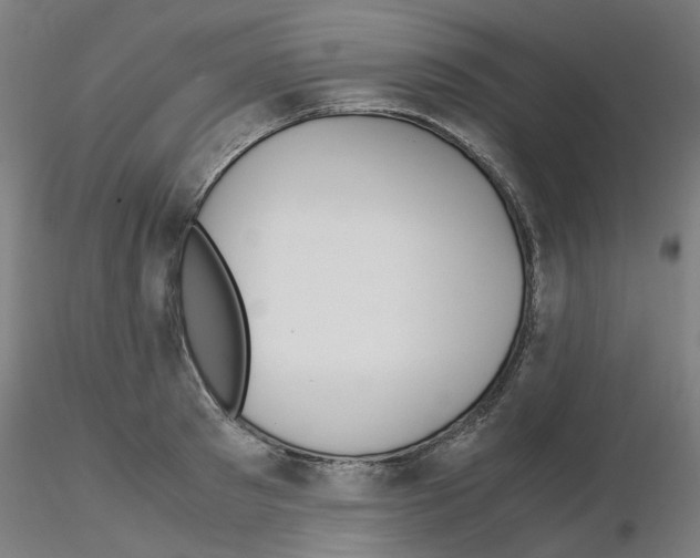 X0000115640897200912221307