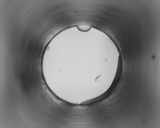 X0000115640898200912221307