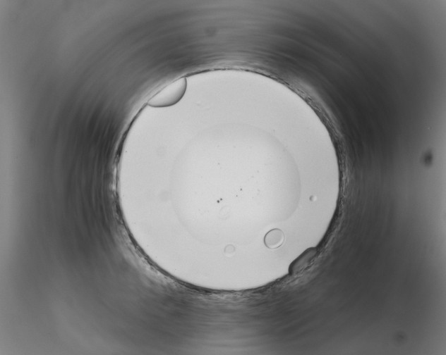 X0000115640900200912221307