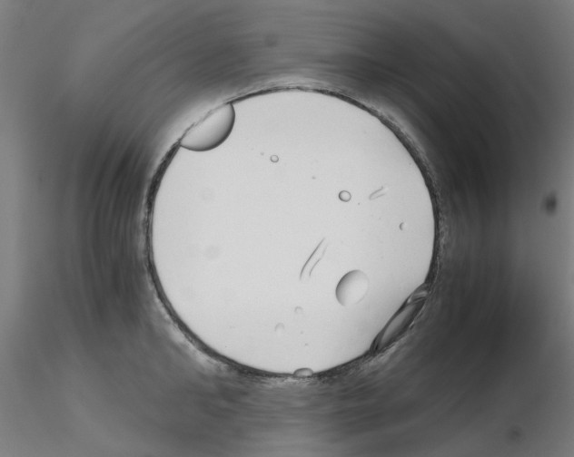X0000115640902200912221307