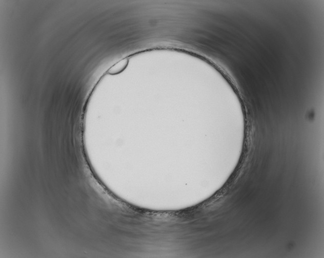 X0000115640903200912221307