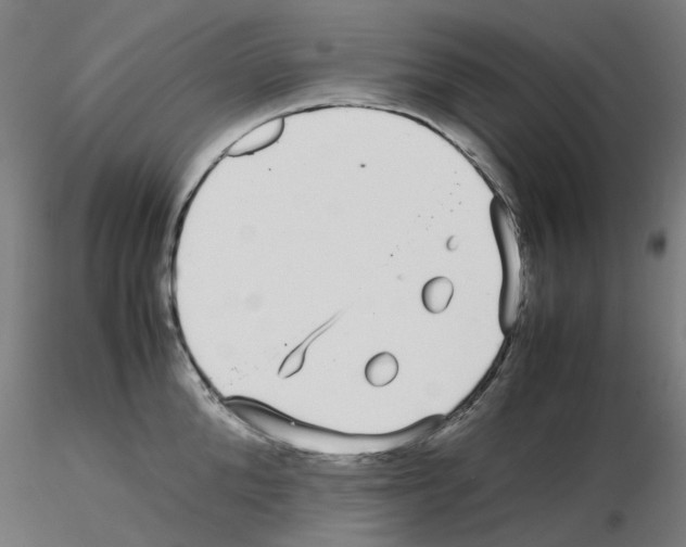 X0000115640904200912221307
