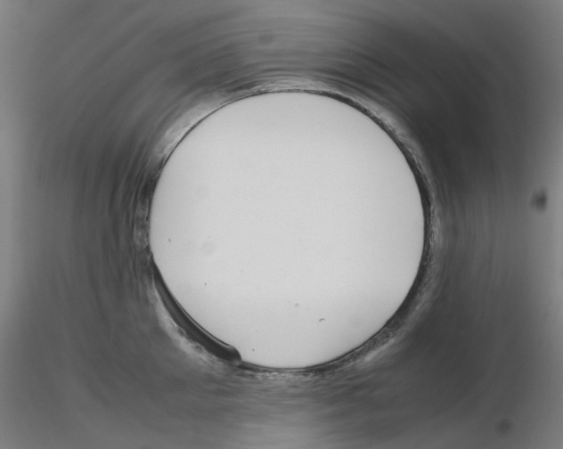 X0000115640905200912221307