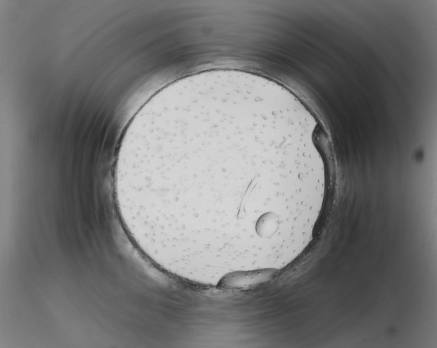 X0000115640906200912221307