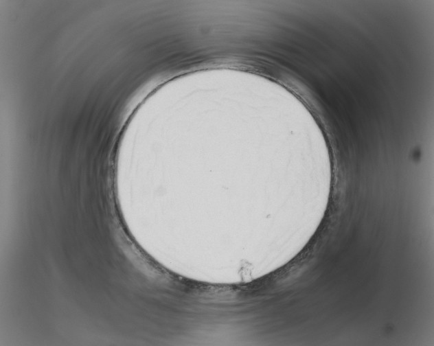 X0000115640907200912221307