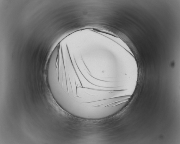 X0000115640908200912221307
