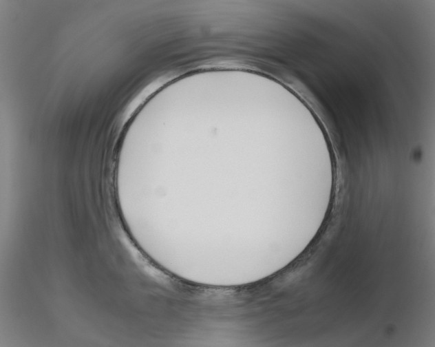 X0000115640909200912221307