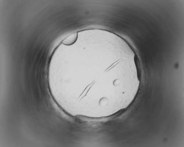 X0000115640910200912221307