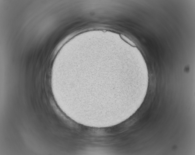 X0000115640911200912221307