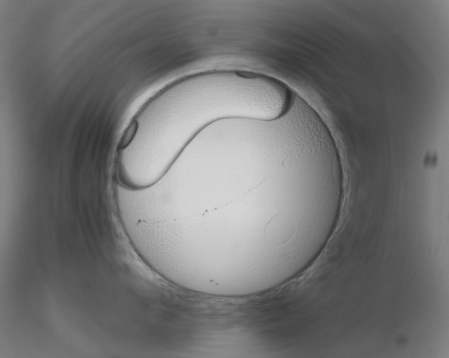 X0000115640912200912221307