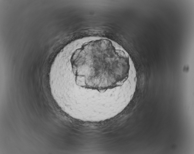 X0000115640913200912221307