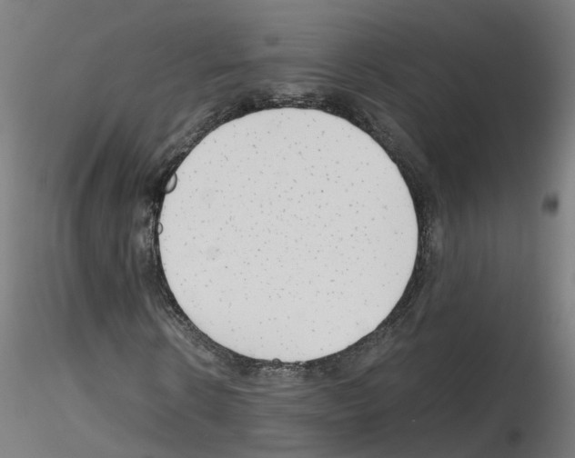 X0000115640914200912221307