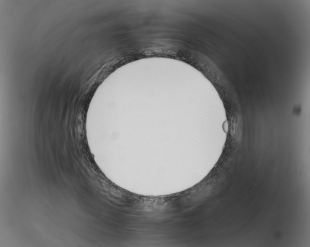 X0000115640915200912221307