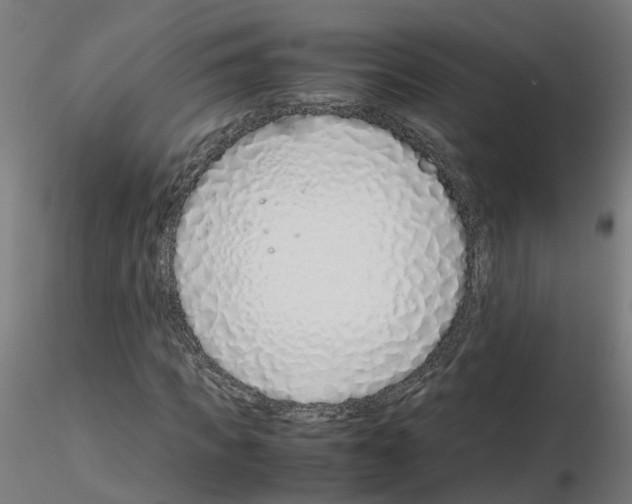 X0000115640917200912221307