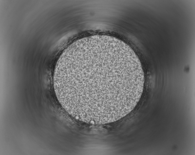 X0000115640918200912221307