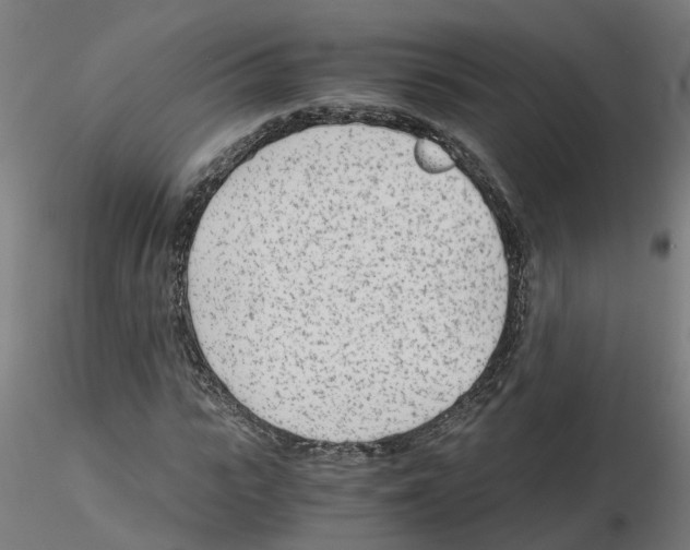 X0000115640919200912221307