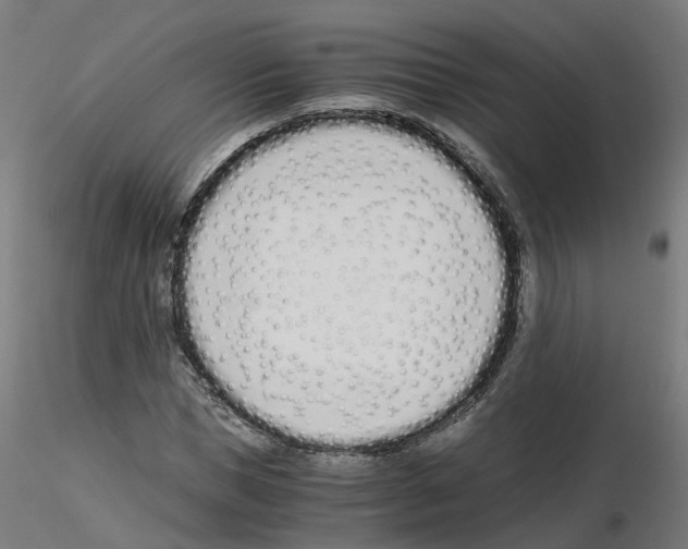 X0000115640921200912221307
