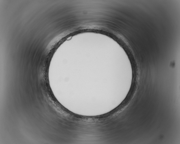X0000115640922200912221307