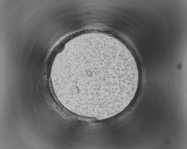 X0000115640923200912221307