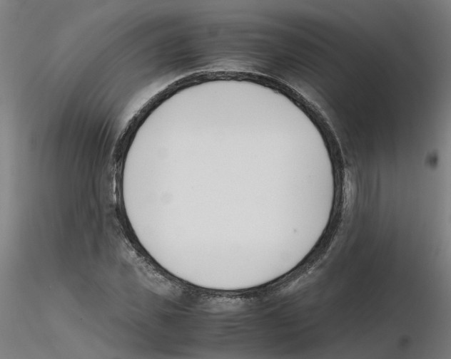 X0000115640925200912221307