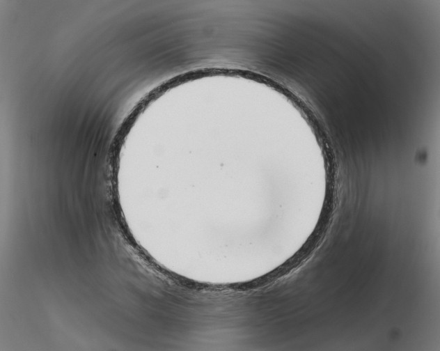 X0000115640926200912221307