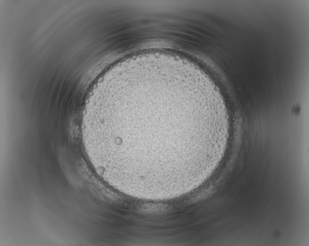 X0000115640929200912221307