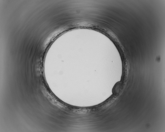 X0000115640930200912221307