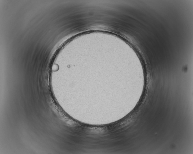 X0000115640931200912221307