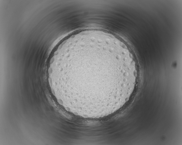 X0000115640933200912221307