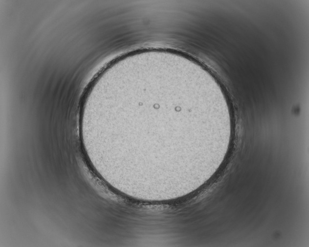 X0000115640934200912221307