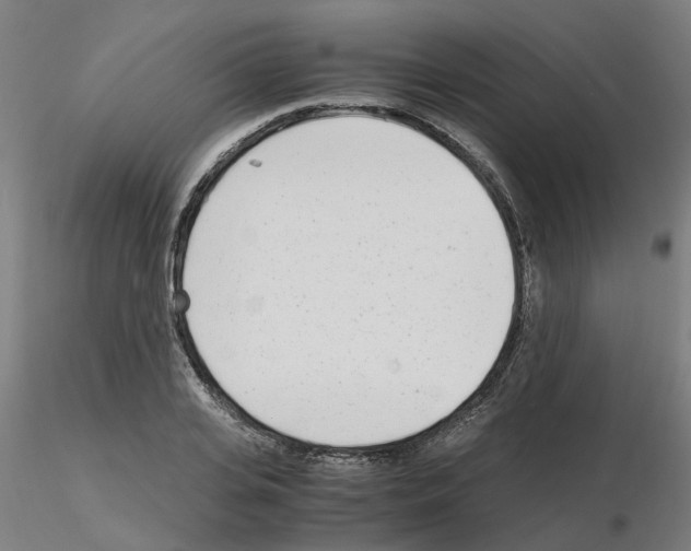 X0000115640935200912221307