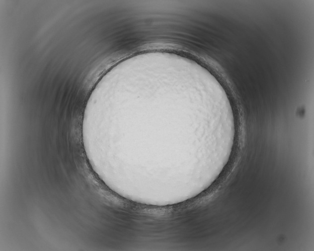 X0000115640937200912221307