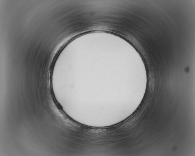 X0000115640939200912221307
